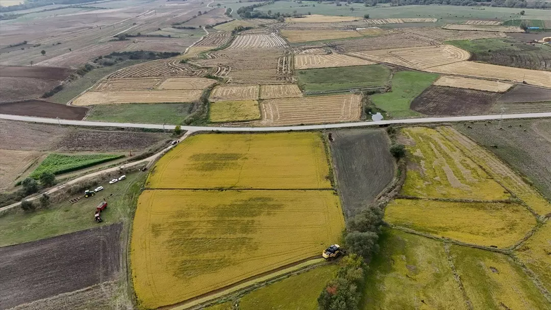 Çatalca’nın Sessiz Yükselişi